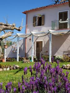 里卡迪Al Passo di Thalia的前面有紫色花的房屋