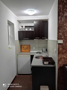 索科矿泉村Apartman Sunce的一间带水槽和炉灶的小厨房