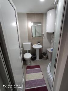 索科矿泉村Apartman Sunce的一间带卫生间和水槽的小浴室