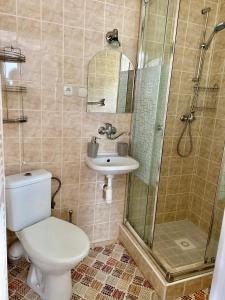 特尔乔夫Chalupa Synka的浴室配有卫生间、淋浴和盥洗盆。