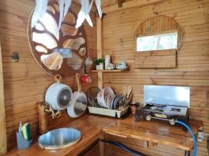 普雷韦扎Dream catcher treehouse的厨房配有带炉灶和镜子的台面