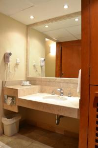 圣路易斯波托西易波萨达套房酒店的一间带水槽和大镜子的浴室