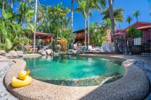 凯恩斯绿洲旅行者旅舍的度假村的游泳池,里面装有橡皮鸭