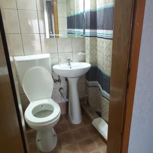 KolešinoPodgorski An的一间带卫生间和水槽的浴室