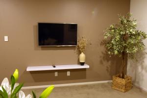 奥克兰The Rise BNB - Executive Ensuite的一间带电视和2种盆栽植物的客厅