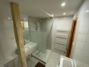 普雷绍夫赫拉德比旅馆的白色的浴室设有水槽和镜子