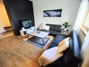 日利纳Apartman Loggia Park & Free Parking的带沙发和电视的客厅