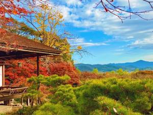 京都京都嵯峨太阳成员酒店的相册照片