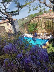 比博纳Locanda Etrusca的游泳池旁种有紫色花的花园