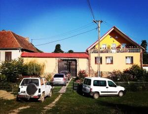 BărcuţCasa Florilor Barcut的两辆汽车停在房子前面