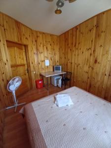 卡罗利诺-布加兹Бирюза的一间卧室配有一张床和一张带电脑的书桌