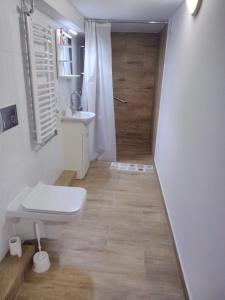 谢米亚蒂切Rustykalny Apartament的浴室配有卫生间、盥洗盆和淋浴。
