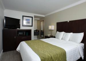 曼哈顿海滩汇景套房酒店的配有一张床和一台平面电视的酒店客房