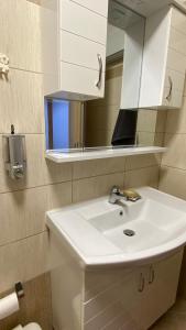 VlikhónAnastasia's House的浴室设有白色水槽和镜子