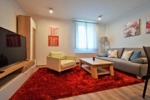 什平德莱鲁夫姆林Apartment Dalibor II.的带沙发和电视的客厅