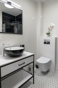 乌斯特卡Aquarius Baltico Apartment的一间带水槽和卫生间的浴室