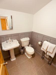 韦茅斯Self Contained Guest Suite 1 - Weymouth的一间带卫生间和水槽的浴室