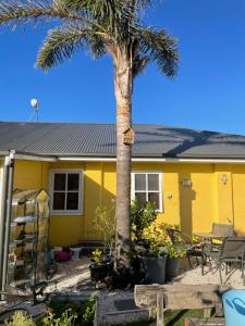 金斯科特KI蜻蜓宾馆 的一座黄色房子,前面有一棵棕榈树