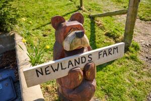 肯德尔Newlands Farm Stables的举着读新地农场的标志的熊雕像