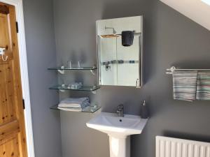 杜林Knockaguilla House Bed & Breakfast的一间带水槽和镜子的浴室