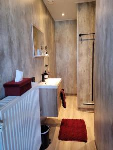 多克姆B&B Diepzicht的浴室设有水槽和带红色地毯的淋浴。