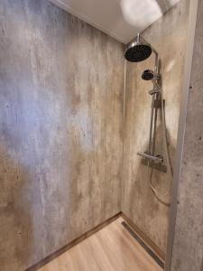 多克姆B&B Diepzicht的一间带金属墙淋浴的浴室