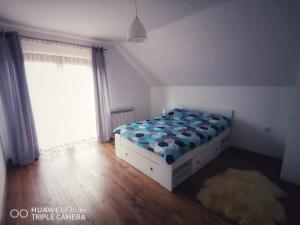 波拉齐克BIESCZADNIK的一间卧室设有一张床和一个大窗户