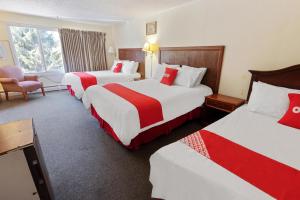 DelhiOYO Hotel Buena Vista Delhi的酒店客房,设有三张铺有红白床单的床