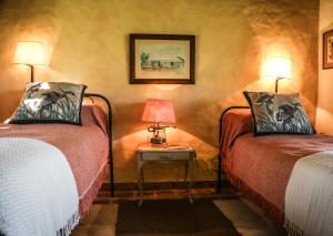 科洛尼亚卡洛斯佩莱格里尼Aguapé Lodge的一间设有两张床和一张带两盏灯的桌子的房间