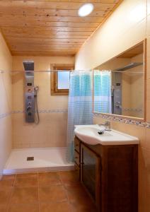 AledoALEDORURAL的一间带水槽、淋浴和镜子的浴室