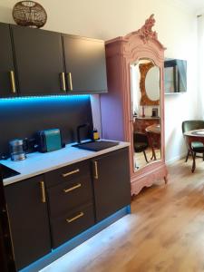 比得哥什Apartment lux gimnazjalna的厨房配有台面和镜子