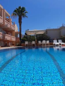 Agia ErmioniToulipa Rooms的一个带椅子和棕榈树的大型游泳池