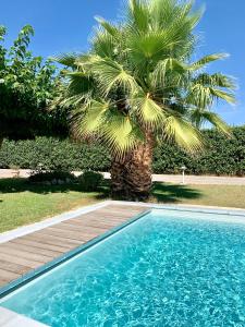 圣埃尔斯Atelier des Vidaux的棕榈树和棕榈树旁边的游泳池