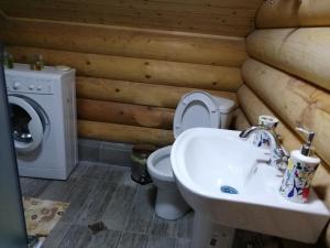 巴统Cottage house Niniela的浴室配有卫生间、盥洗盆和洗衣机。