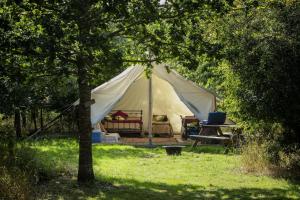 South BarrowDGG Woodland Escape的田野里带一张床和一张桌子的帐篷