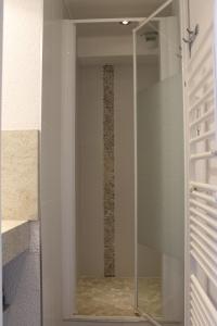 马尼戈Appartement T2 col de Merdassier au pied des pistes的带淋浴的浴室的玻璃门