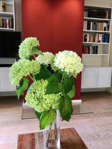 拜罗伊特Ferienhaus am Park am Röhrensee的客厅里装满白色花的花瓶