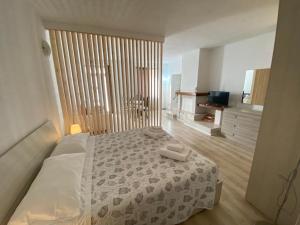 帕斯特伦戈Casa dell'Oca的一间卧室配有一张带白色床罩的床和电视。