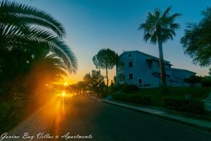 古维亚格奥维宜诺湾酒店的一条种有棕榈树的街道和一座日落建筑