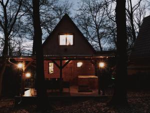 诺茨瓦约Kedvesem Noszvaj的夜晚在树林里带灯的房子