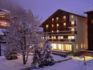 采尔马特阿尔夫贝尔酒店的雪中有一棵树的建筑