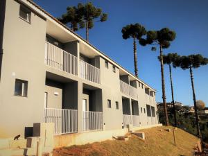 坎波斯杜若尔当Winter Garden - Guest House - Campos Do Jordão的一座棕榈树建筑