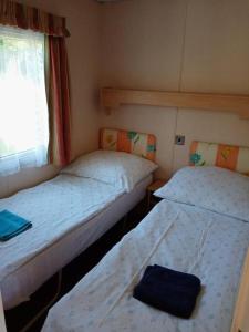 VlciceRybník Dalibor I的小型客房设有两张单人床和窗户。