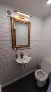贝弗伦Bosdam Budget Rooms的一间带卫生间、水槽和镜子的浴室