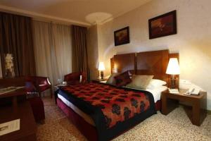 比绍Hala Hotel & Aqua Park的酒店客房设有一张大床和一张书桌。