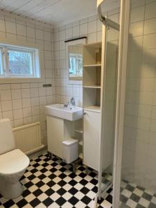 萨伦Lillhuset Norr Sälens By的一间带卫生间和水槽的浴室