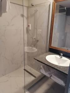 阿尔杰什河畔库尔泰亚波萨达酒店的一间带玻璃淋浴和水槽的浴室