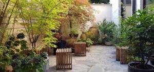 科特赖克oYo的花园中种有植物和木椅