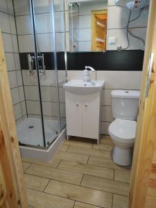 梅尔诺Domki Arkadia Mielno的带淋浴、卫生间和盥洗盆的浴室