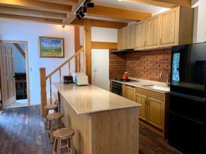 轻井泽軽井沢メイプルチューダーハウス的厨房配有木制橱柜和台面